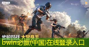 bwin必赢：同城3d游戏